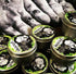 products/11054284_842915765801472_8464722977803421175_n.jpg