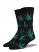 Man Weed